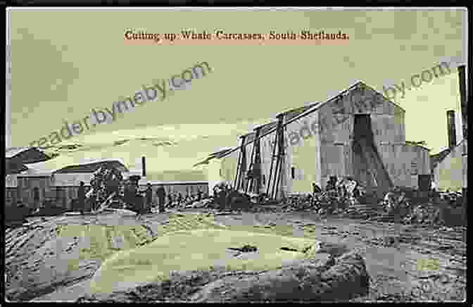 A Black And White Photograph Of An Old Whaling Station In The Falkland Islands, Its Weathered Structures Hinting At A Bygone Era. An Antarctic Journey: Falkland Islands South Georgia And Antarctic Peninsula In Pictures