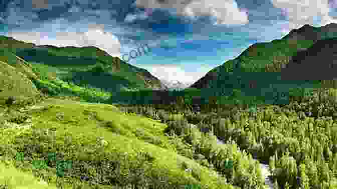 A Breathtaking View Of The Colombian Landscape, With Lush Green Mountains And A Clear Blue Sky Walking In The Clouds: Colombia Through The Eyes Of A Gringo