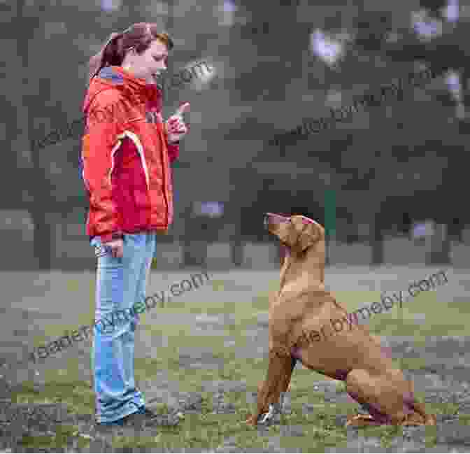 A Dog Trainer Petting A Dog The Other End Of The Leash: Why We Do What We Do Around Dogs