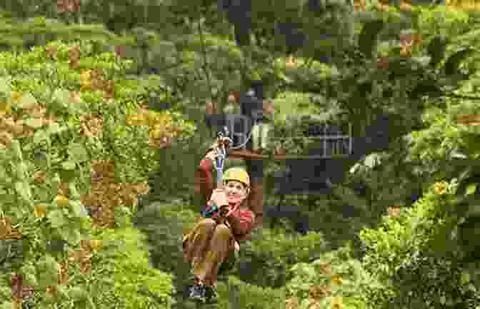 A Group Of People Zip Lining Through A Costa Rican Rainforest Costa Rica Ultimate Travel Guide For Cruise Lovers: 2024 Edition