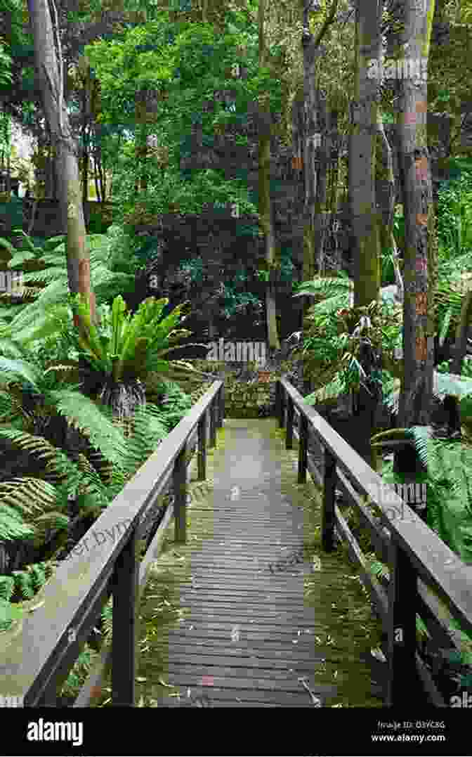 A Panoramic View Of The Australian National Botanic Gardens, Showcasing Its Lush Greenery And Diverse Plant Life. Discovering Australian Flora: An Australian National Botanic Gardens Experience