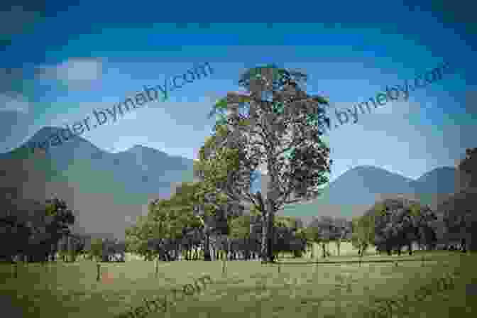 A Panoramic View Of The Grampians Mountain Range, With Lush Vegetation, Cascading Waterfalls, And Rugged Sandstone Cliffs. 4WD Australia: The Best Short Getaways