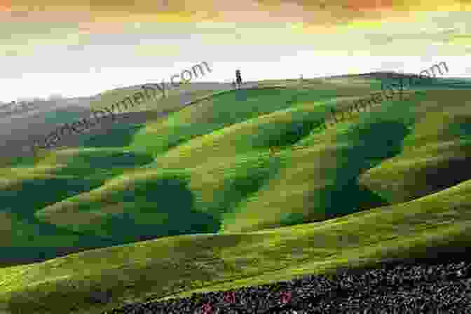 A Panoramic View Of The Northwest Territories, Featuring Rolling Hills, Sparkling Lakes, And A Vibrant Sunset Sky. Canada In Pictures: The Northern Territories Volume 3 Nunavut Yukon Territory And The Northwest Territories