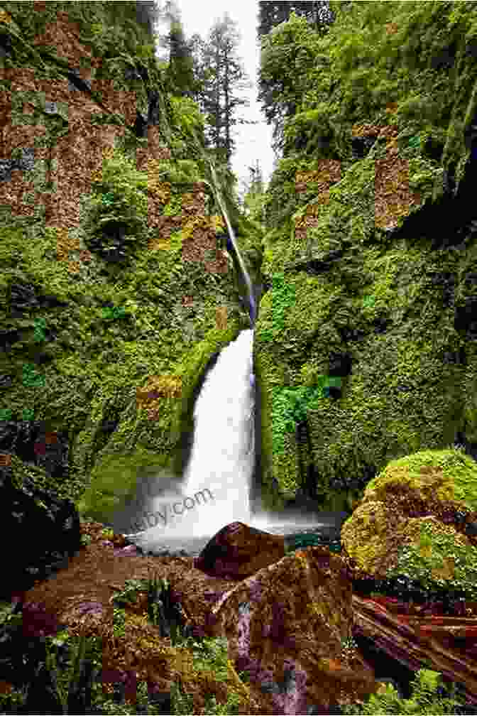 A Photograph Of A Hidden Waterfall Surrounded By Lush Greenery, Tucked Away In The Northern Territories Wilderness. Canada In Pictures: The Northern Territories Volume 3 Nunavut Yukon Territory And The Northwest Territories