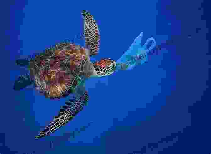 A Sea Turtle Tangled In A Plastic Bag One Turtle S Tragedy Steve Jenkins