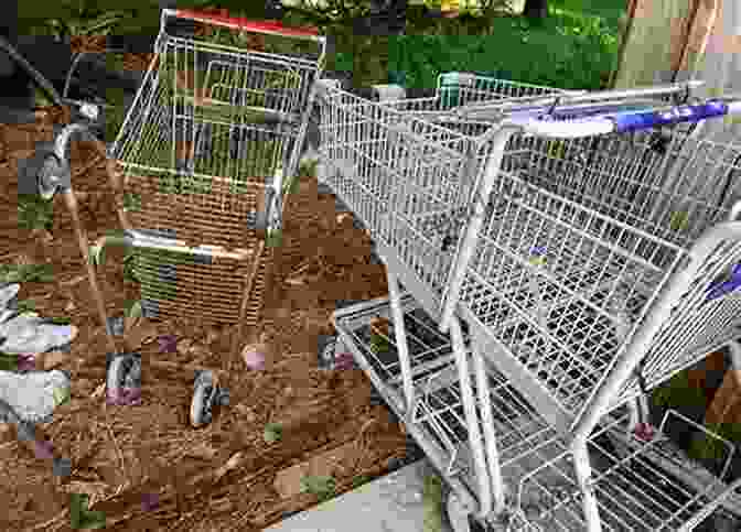 An Abandoned Shopping Cart In The Middle Of A Supermarket Aisle Shopping Cart Operations Manual For Women: Lessons In Proper Shopping Cart Etiquette For Women