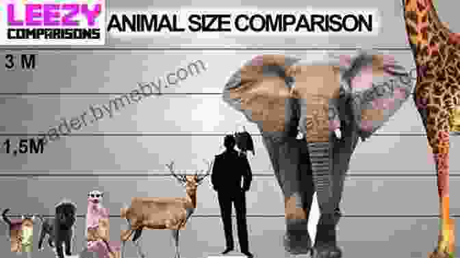 Chart Comparing The Sizes Of Various Animals, From The Tiny Bee To The Colossal Blue Whale Animal Facts: By The Numbers