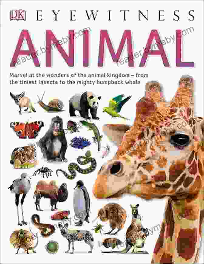 Cover Of Animal Facts: By The Numbers