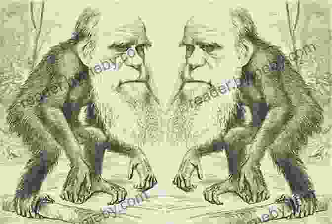 Darwin's Theory Has Revolutionized Our Understanding Of Human Origins Darwin Updated Edition