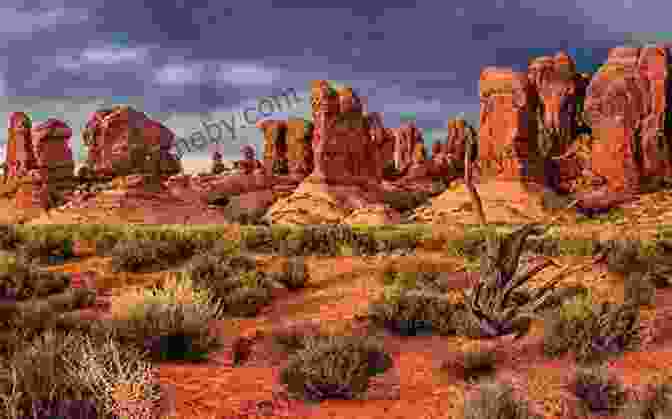 Desert Landscape In Utah IKON Terrains: Colorado Utah Wyoming