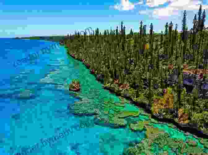 Enticing Landscape Of New Caledonia With Vivid Blue Waters And Lush Vegetation Just A Little Trip From France To New Caledonia