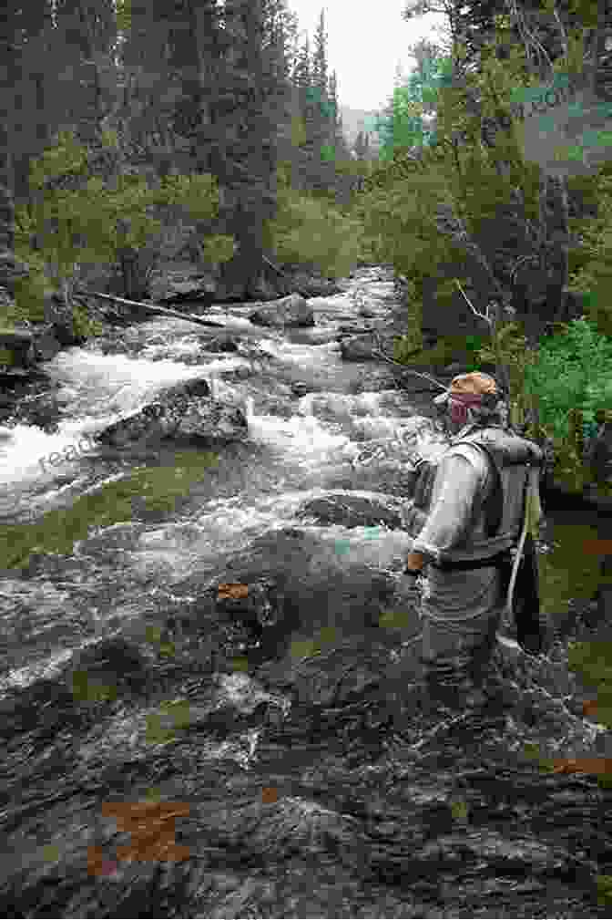 Fly Fisherman Casting In Rocky Mountain National Park Angler S Guide To Rocky Mountain National Park