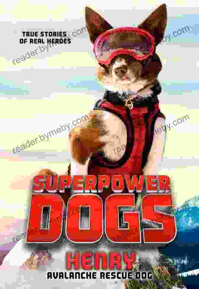 Henry Avalanche Rescue Dog Book Cover Superpower Dogs: Henry: Avalanche Rescue Dog