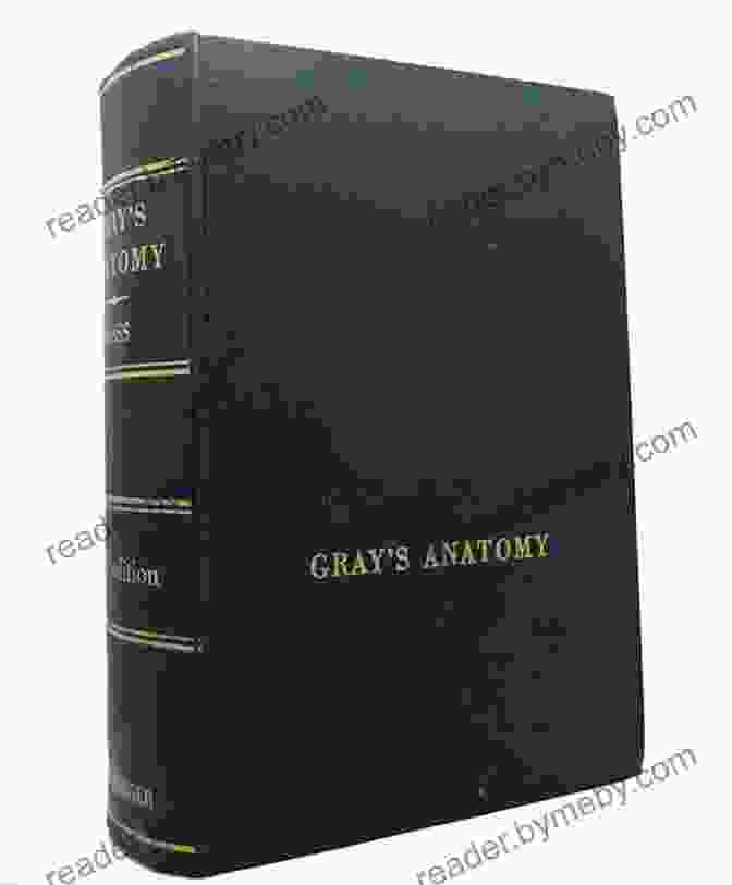 Henry Gray's Anatomy Of The Human Body Classic Anatomical Illustrations (Dover Fine Art History Of Art)