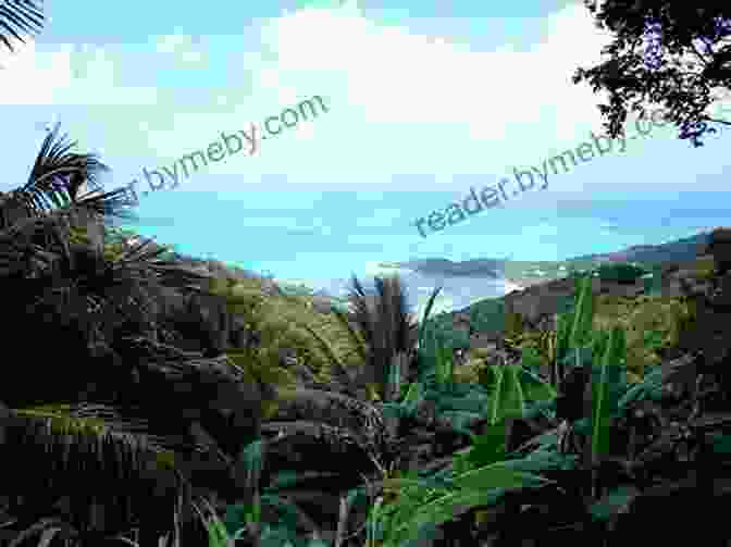 Hike Through The Verdant Sage Mountain National Park, Tortola Tortola British Virgin Islands