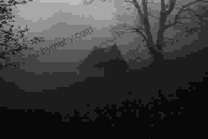 Image Of A Dark And Stormy Forest African Myths Tales: Epic Tales (Gothic Fantasy)