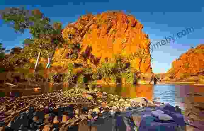 Jonny Dave And His Motorhome Amidst The Stunning Australian Landscape Wheels Across A Continent: The Joys Of Motorhoming Around Australia With Jonny N Dave