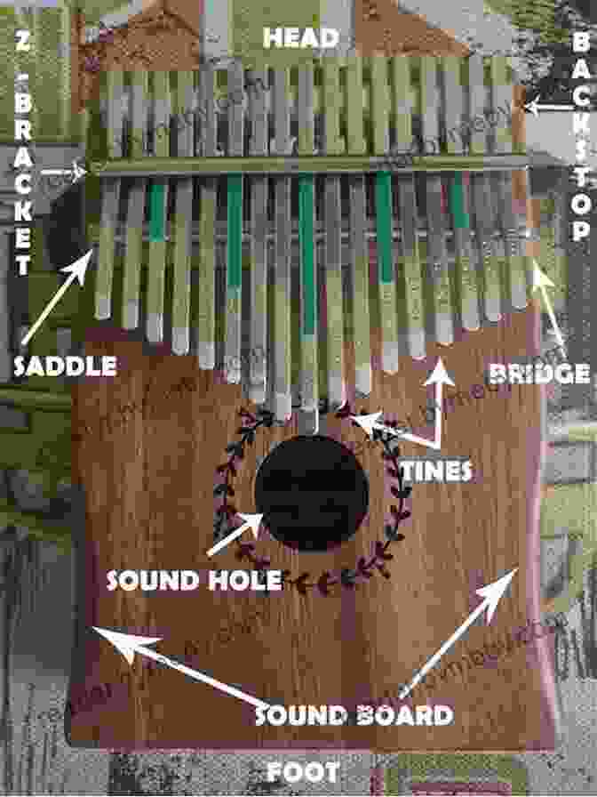 Kalimba Instrument With Labeled Parts How To Play The Kalimba For Beginners: Step By Step Guide On How To Play The Kalimba For Beginners (Music Mastery)