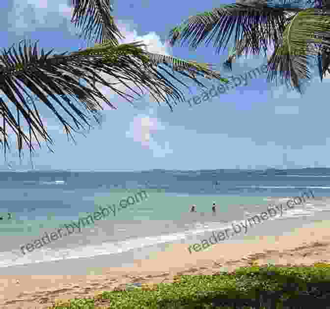 Luquillo Beach, A Vibrant Stretch Of Sand On Puerto Rico's East Coast The Island Hopping Digital Guide To Puerto Rico Part III The East Coast: Including Palmas Del Mar Puerto Del Rey Marina Fajardo Cayo Obispo And Las Croabas