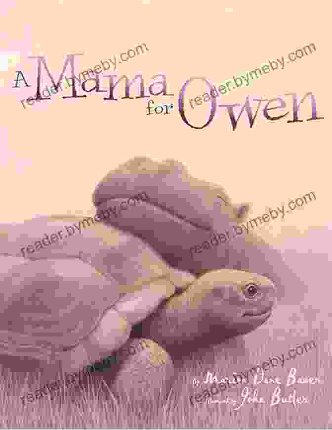 Mama For Owen Rise And Shine Book Cover A Mama For Owen (Rise And Shine)