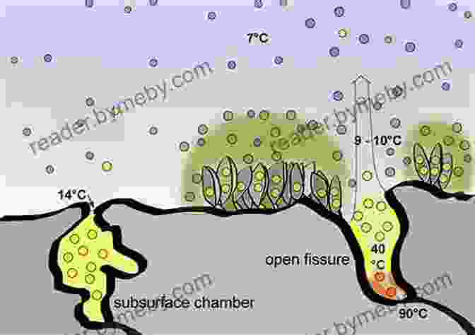 Microorganisms In A Hydrothermal Vent, Potential Contributors To The Origins Of Life Darwin Updated Edition