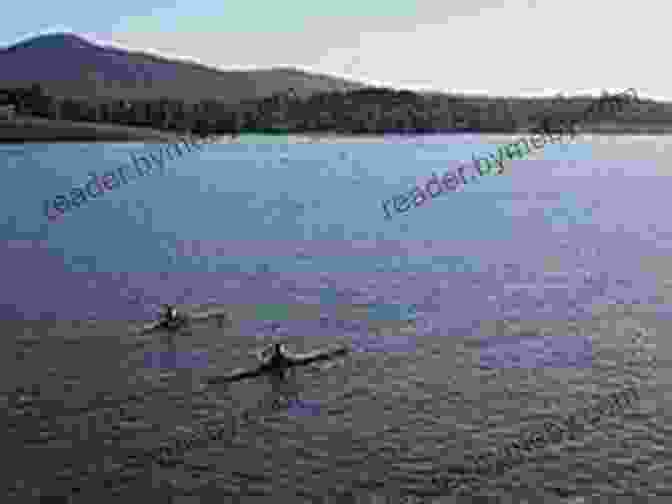 Serene Lake Burley Griffin With Rowers Gliding Past Canberra Updated Edition