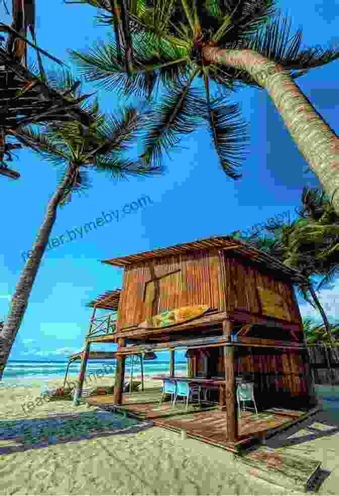 Surf Shack On The Beach Surf Shack: Laid Back Living By The Water