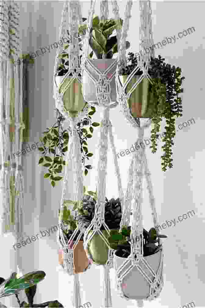 The Essential Guide To Macrame Plant Hangers Book Cover With A Macrame Plant Hanger Hanging From A Wooden Beam Plant Hangers: The Essential Guide For Making Macrame Plant Hanger