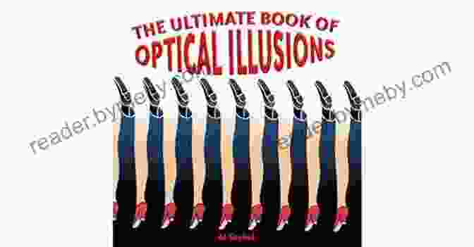 The Veil Of Illusion Book Cover Featuring A Woman Trapped In A Web Of Illusions Extinction Survival: The Complete Four Series: A Post Apocalyptic Thriller