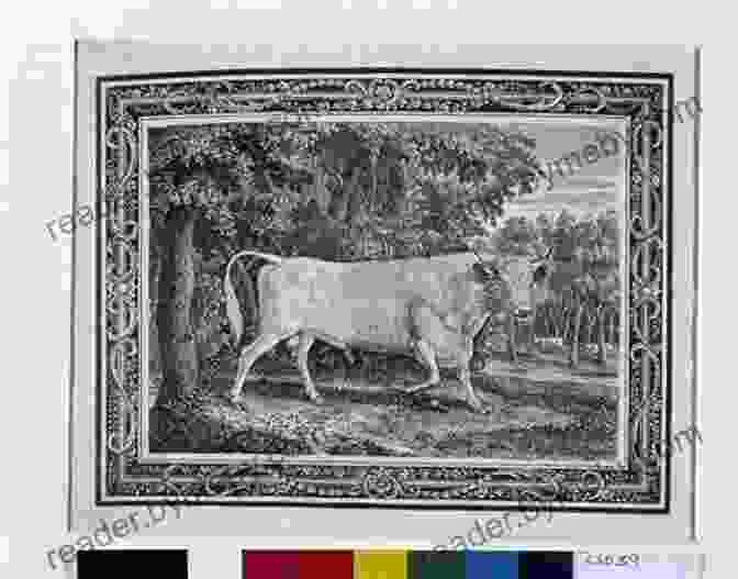 Thomas Bewick, The Chillingham Bull (1827) Wood Engraving: How To Do It