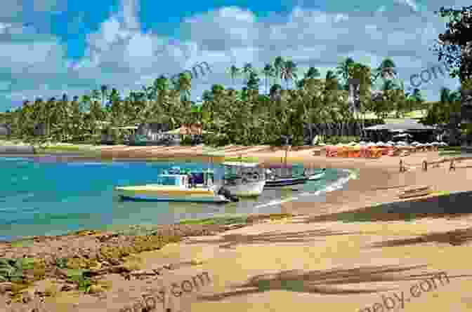 Tranquil Beach Scene In Praia Do Forte, Bahia, Brazil Brazil Salvador And Its Region: An Invitation To Travel And Taste In A Colorful Vibrant And Welcoming Brazilian Region (Voyage Experience 11)