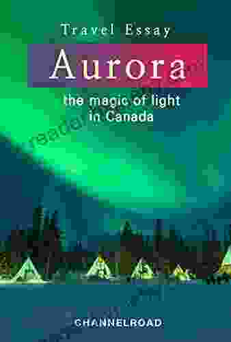 Aurora the magic of light unfolding in the cold arctic night sky