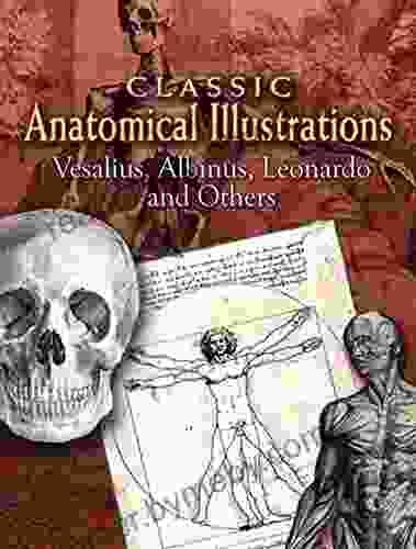 Classic Anatomical Illustrations (Dover Fine Art History Of Art)