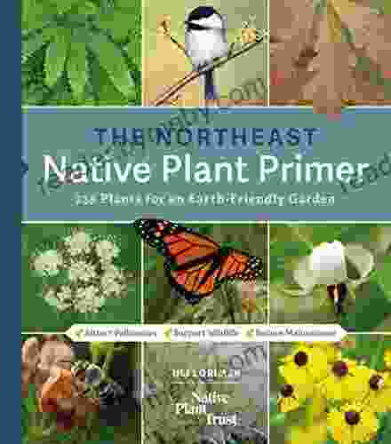 The Northeast Native Plant Primer: 235 Plants for an Earth Friendly Garden