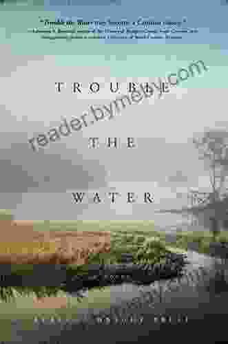 Trouble The Water: A NOVEL