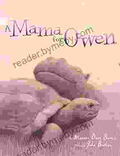 A Mama For Owen (Rise And Shine)