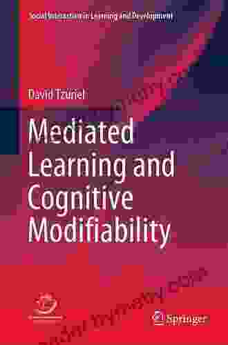 Mediated Learning And Cognitive Modifiability (Social Interaction In Learning And Development)