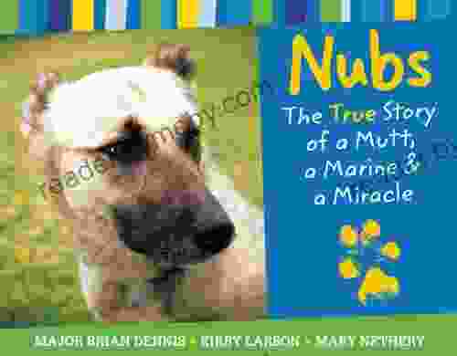 Nubs: The True Story of a Mutt a Marine a Miracle