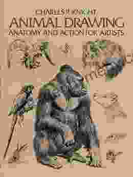 Animal Drawing: Anatomy and Action for Artists (Dover Anatomy for Artists)